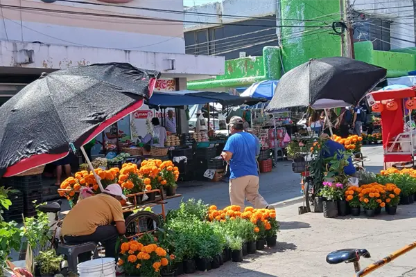 El cempasúchil tiñe de naranja las calles de Ciudad Victoria rumbo al Día de Muertos El cempasúchil tiñe de naranja las calles de Ciudad Victoria rumbo al Día de Muertos