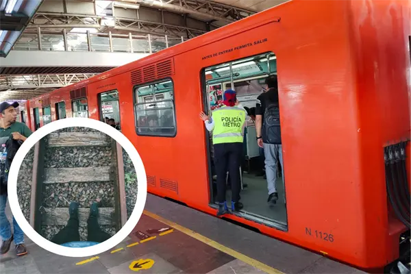 Viejito cayó a las vías de la Línea 5 del Metro en Instituto del Petróleo Viejito cayó a las vías de la Línea 5 del Metro en Instituto del Petróleo