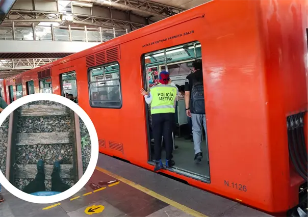 Viejito cayó a las vías de la Línea 5 del Metro en Instituto del Petróleo