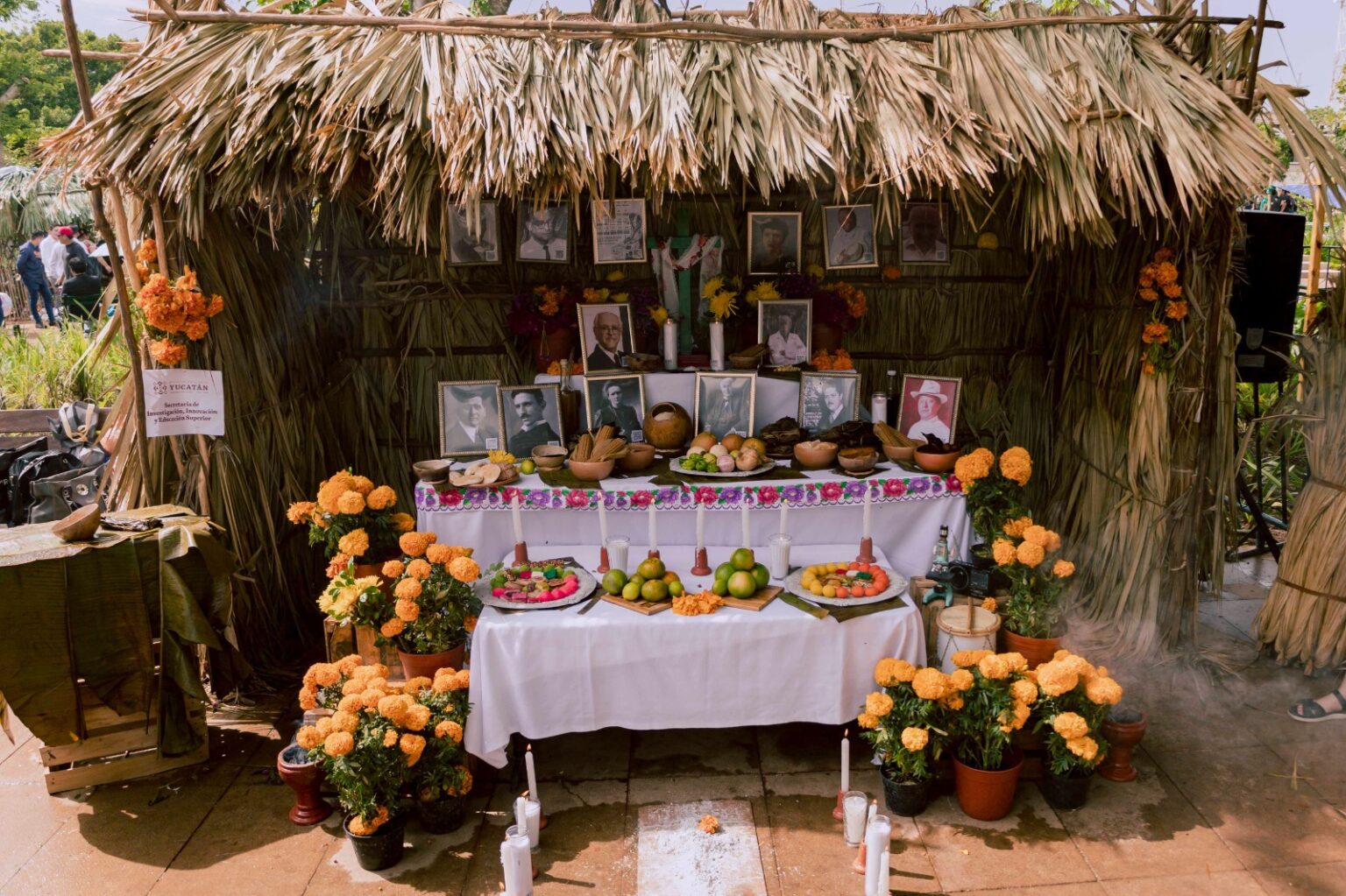 imagen-cuerpo imagen-cuerpo