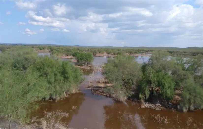 imagen recuadro Foto: Gobierno de Baja California Sur