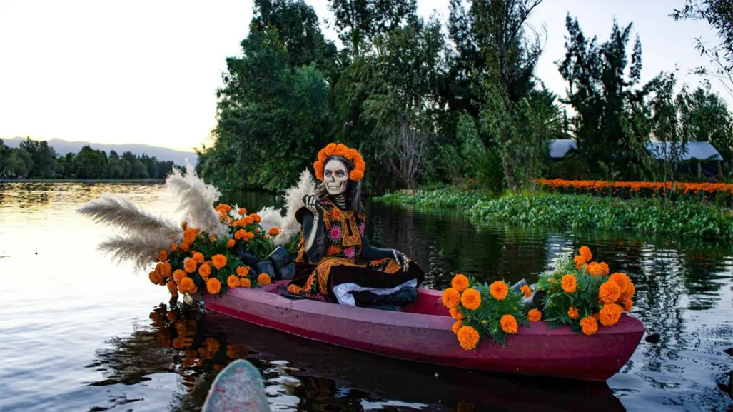 Cempasúchil sustentable en Edomex: así se cultivan las flores que adornarán las ofrendas