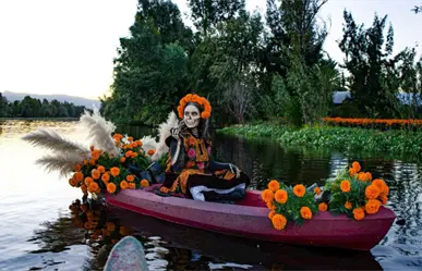 Cempasúchil sustentable en Edomex: así se cultivan las flores que adornarán las ofrendas