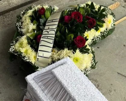 Fundadora de refugio recibe amenazas luego de exponer desaparición de perros en Edomex