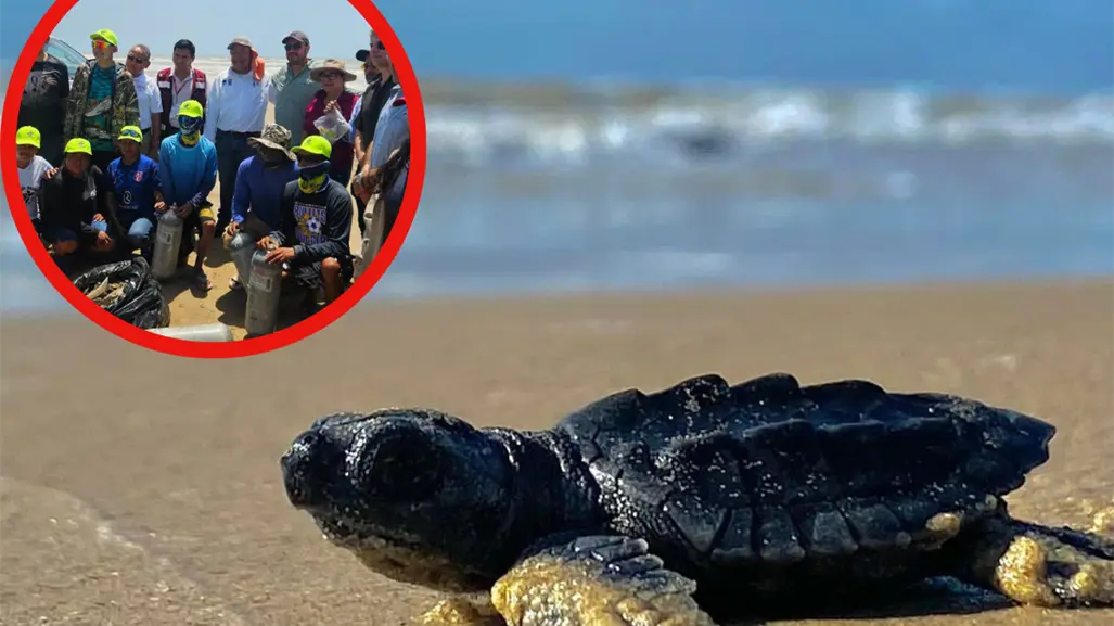 ¿Qué resultados ha obtenido el programa de limpieza en playa Bagdad desde 2025?