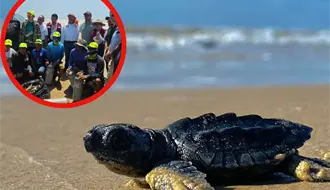 ¿Qué resultados ha obtenido el programa de limpieza en playa Bagdad desde 2025?