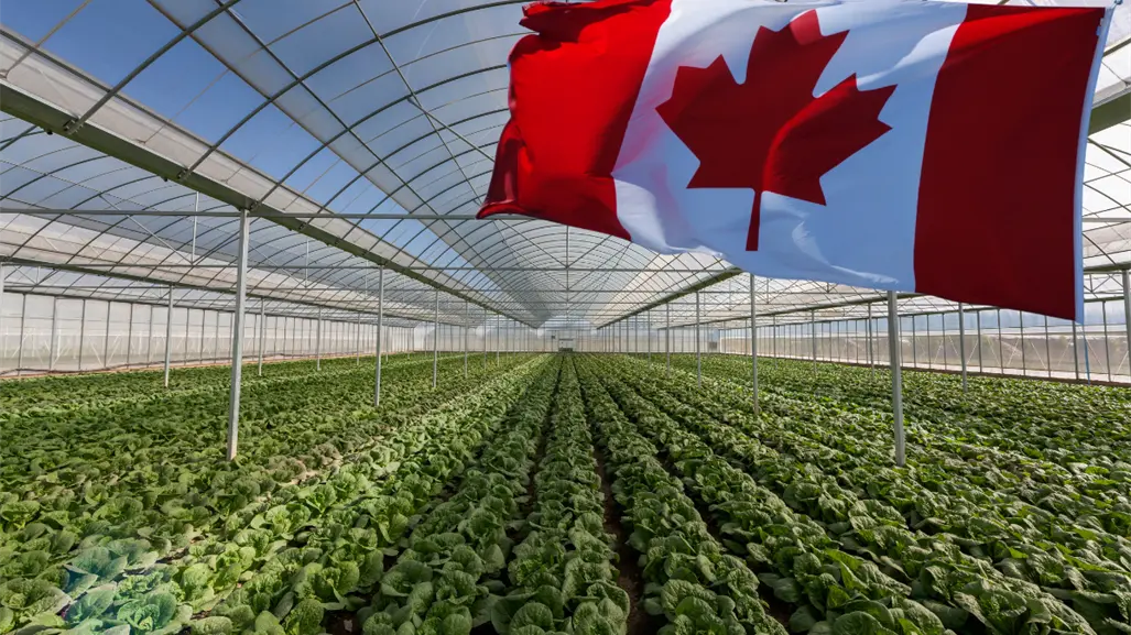 Vacante en Canadá: este puesto tiene un sueldo de 35 mil 400 pesos al mes, estos son los requisitos