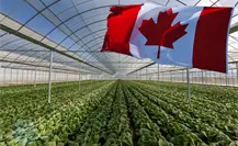 Vacante en Canadá: este puesto tiene un sueldo de 35 mil 400 pesos al mes, estos son los requisitos Vacante en Canadá: este puesto tiene un sueldo de 35 mil 400 pesos al mes, estos son los requisitos