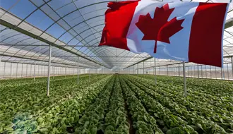 Vacante en Canadá: este puesto tiene un sueldo de 35 mil 400 pesos al mes, estos son los requisitos