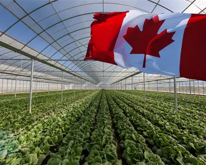 Vacante en Canadá: este puesto tiene un sueldo de 35 mil 400 pesos al mes, estos son los requisitos