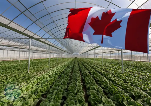 Vacante en Canadá: este puesto tiene un sueldo de 35 mil 400 pesos al mes, estos son los requisitos