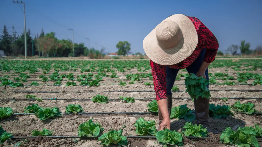 Agricultores y Gobernación inician diálogo para llegar acuerdo y evitar paro nacional