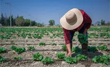Agricultores y Gobernación inician diálogo para llegar acuerdo y evitar paro nacional Agricultores y Gobernación inician diálogo para llegar acuerdo y evitar paro nacional