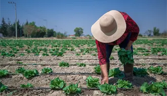 Agricultores y Gobernación inician diálogo para llegar acuerdo y evitar paro nacional