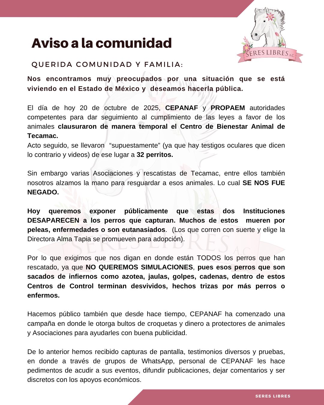 imagen-cuerpo imagen-cuerpo