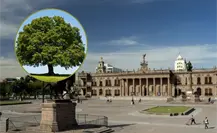 Gobierno de Nuevo León invertirá más de 3 millones en reforestación de la Explanada de los Héroes