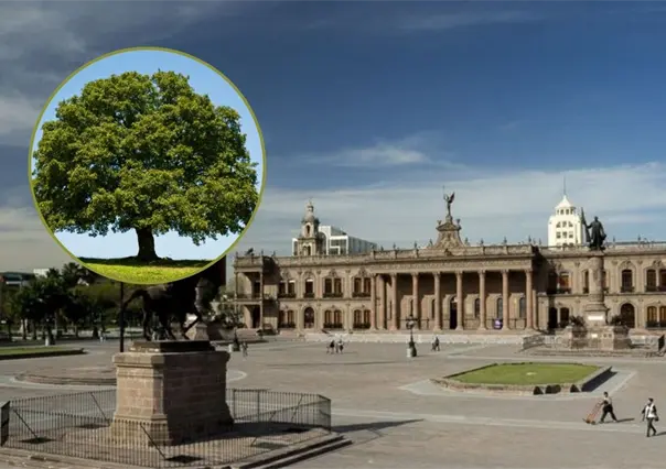 Gobierno de Nuevo León invertirá más de 3 millones en reforestación de la Explanada de los Héroes