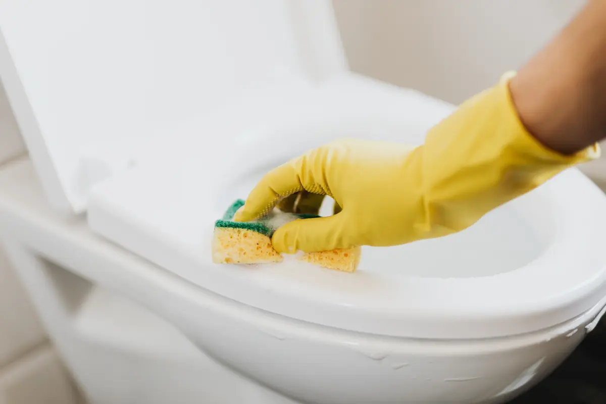 Con un solo ingrediente, puedes desinfectar el inodoro y eliminar los olores indeseables de tu baño de forma sencilla. Foto: Canva