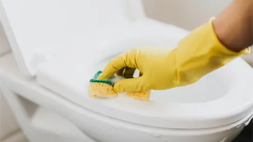 Elimina olores del baño con este método infalible y con un solo producto Elimina olores del baño con este método infalible y con un solo producto