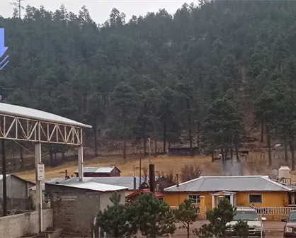Caen temperaturas en sierra de Durango, La Rosilla llega a 4.5 grados bajo cero