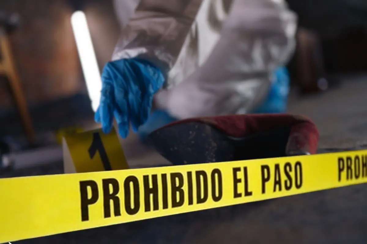 Foto: Biblioteca Canva