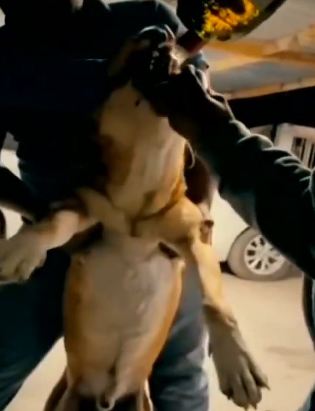 imagen-cuerpo imagen-cuerpo