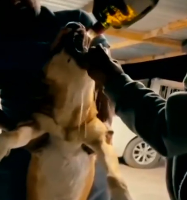 imagen-cuerpo imagen-cuerpo