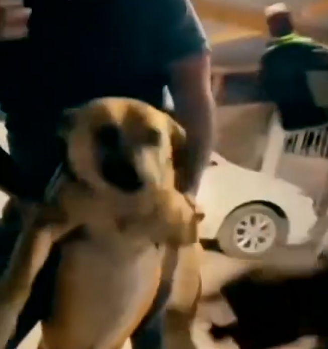 imagen-cuerpo imagen-cuerpo