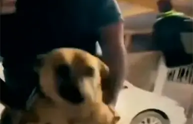 Así dieron de beber whisky a un perro en Aramberri, Nuevo León