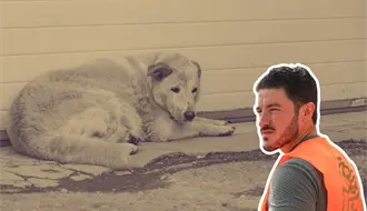Samuel García exige todo el peso de la ley contra quienes dieron whisky a un perro en Aramberri, Nuevo León