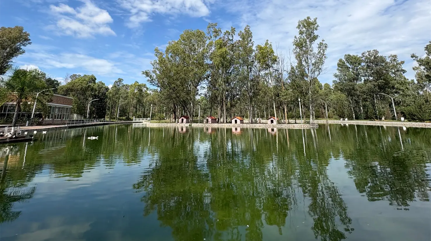 Parque Sahuatoba, lago de los patos | Foto: ale Hernández