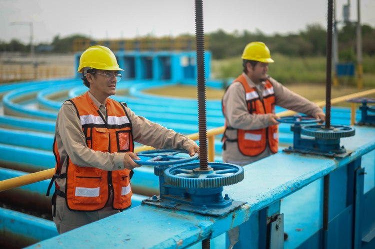 imagen-cuerpo imagen-cuerpo