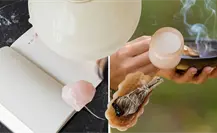 Asegura un noviembre exitoso con este ritual energético