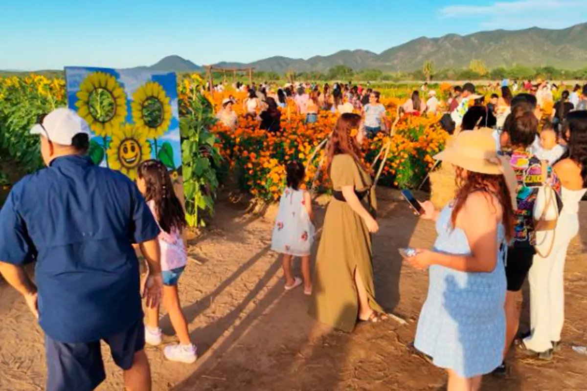 FOTOS | Cómo se vivió el segundo Festival del Cempasúchil en La Paz
