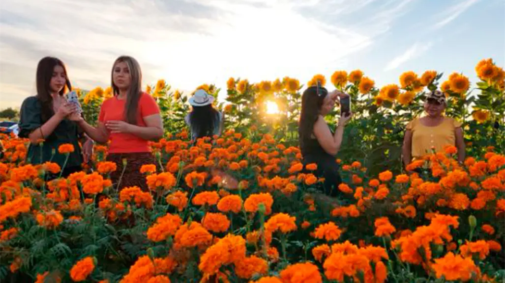 FOTOS | Cómo se vivió el segundo Festival del Cempasúchil en La Paz