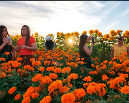 FOTOS | Cómo se vivió el segundo Festival del Cempasúchil en La Paz