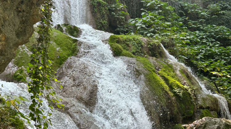 imagen-cuerpo imagen-cuerpo