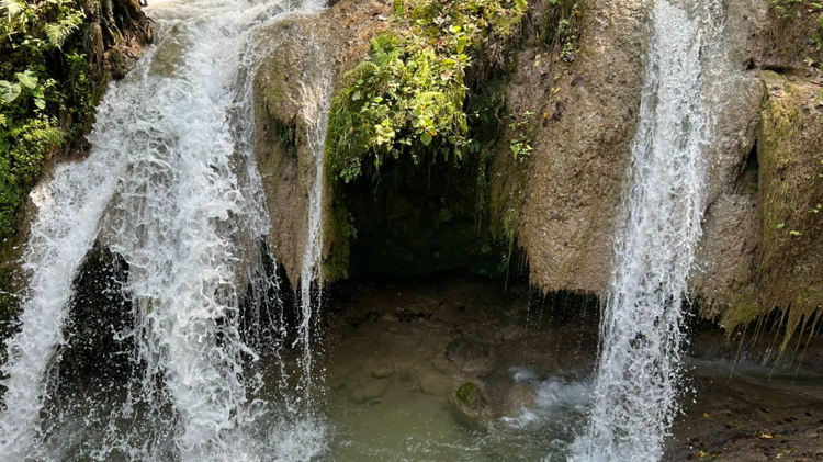 imagen-cuerpo imagen-cuerpo