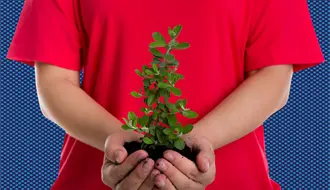 Monterrey invita a su 11ª edición de “Adopta un Árbol”: ¿cuáles los requisitos?