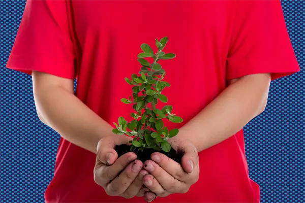 Monterrey invita a su 11ª edición de "Adopta un Árbol": ¿cuáles los requisitos? Monterrey invita a su 11ª edición de "Adopta un Árbol": ¿cuáles los requisitos?