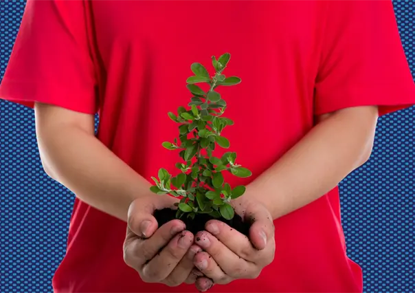 Monterrey invita a su 11ª edición de "Adopta un Árbol": ¿cuáles los requisitos?