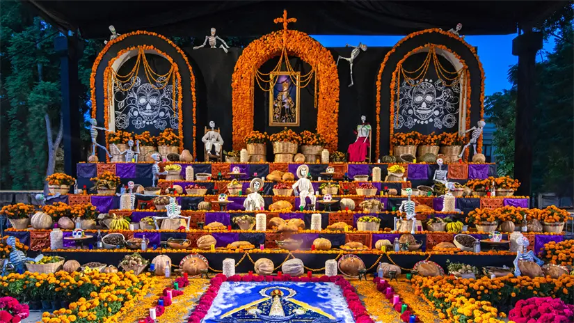 imagen recuadro imagen recuadro