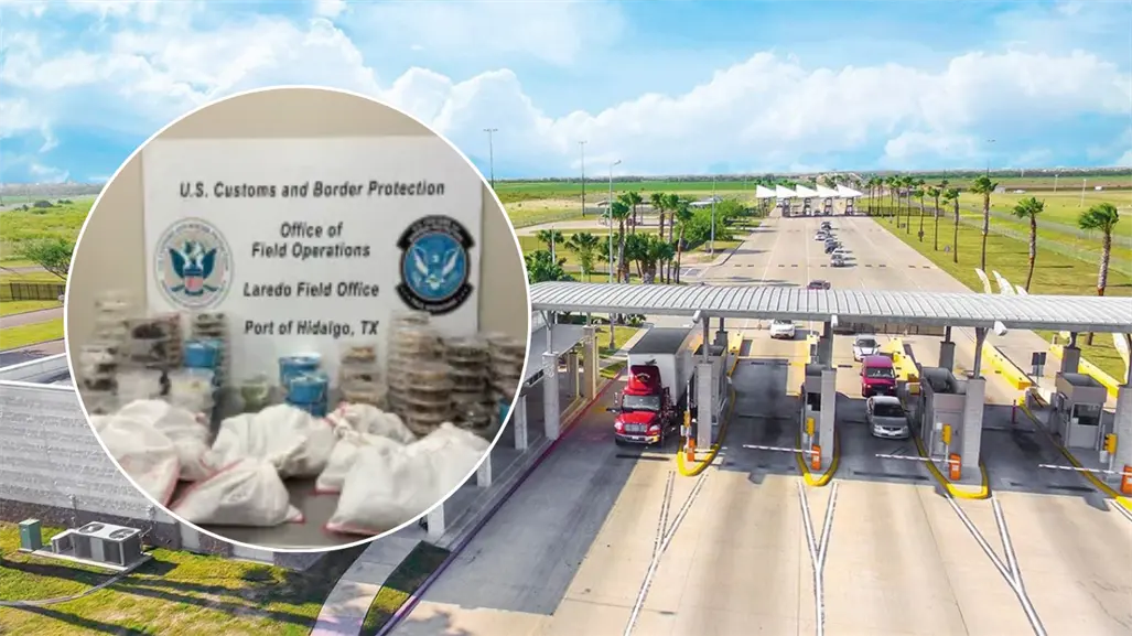 Incautan 163 reptiles y artrópodos ocultos en camioneta que viajaba de Texas hacia Tamaulipas