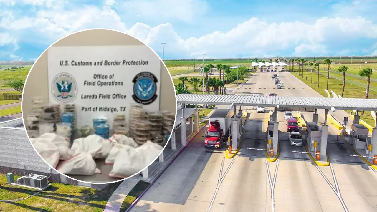 Los reptiles y los artrópodos eran transportados en bolsas y contenedores pequeños. Foto: Carlos García