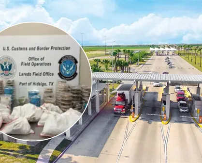 Incautan 163 reptiles y artrópodos ocultos en camioneta que viajaba de Texas hacia Tamaulipas