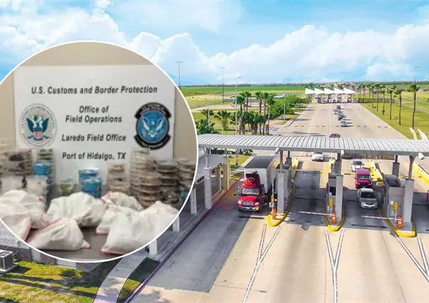 Incautan 163 reptiles y artrópodos ocultos en camioneta que viajaba de Texas hacia Tamaulipas