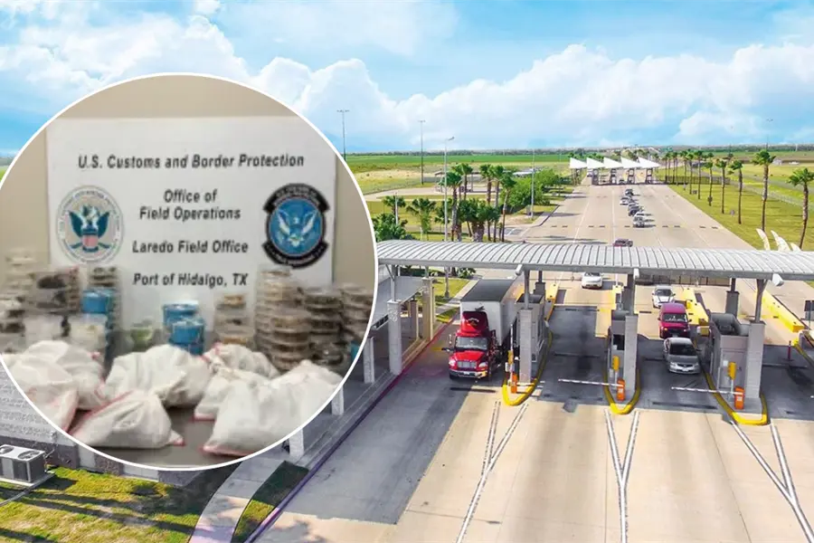 Incautan 163 reptiles y artrópodos ocultos en camioneta que viajaba de Texas hacia Tamaulipas