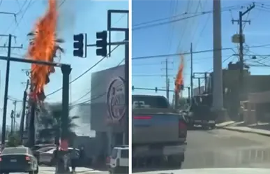 Incendio en Cabo San Lucas moviliza a bomberos frente a Telas Parisina