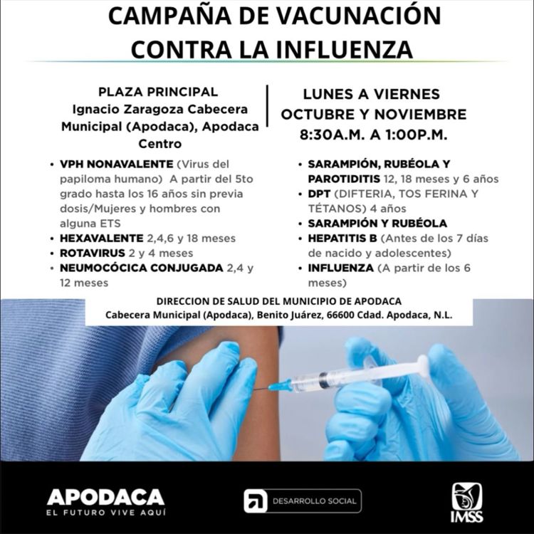 imagen-cuerpo imagen-cuerpo