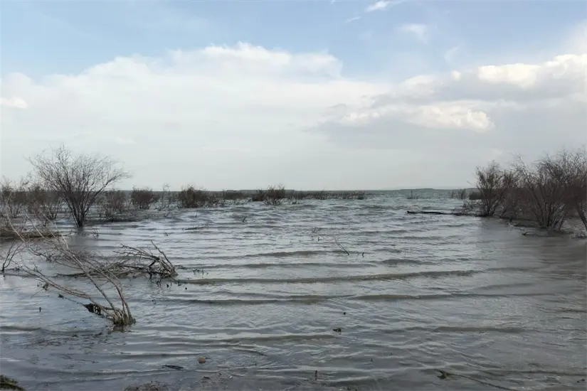 imagen recuadro Los niveles de las presas internacionales en el norte de Tamaulipas continúan bajos. Foto: Freepik